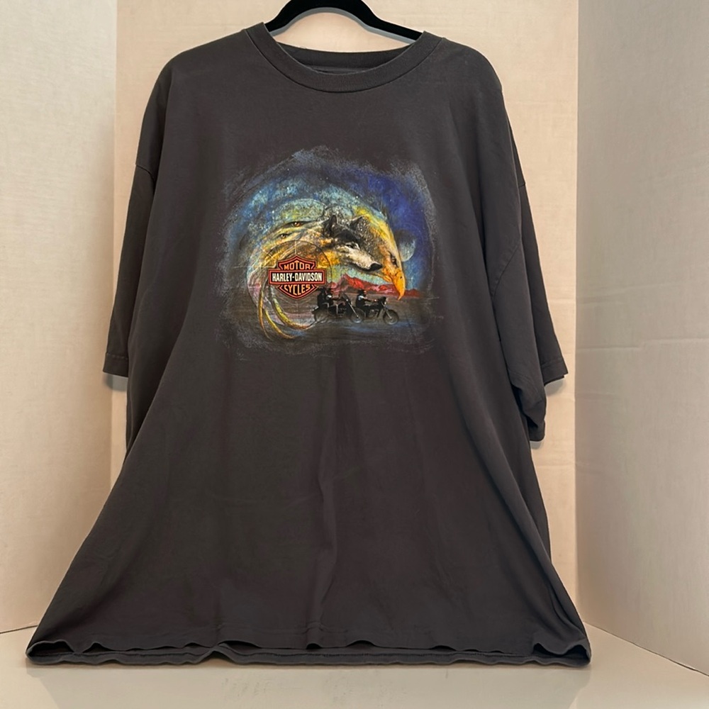 Harley Davidson Men’s tee shirt. No size tag but all other tees are XXL.